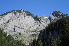 DSCN0728