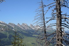 DSCN0731