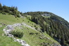 DSCN0736