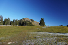 DSC00189