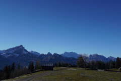 DSC00196