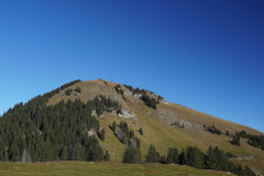 DSC00197