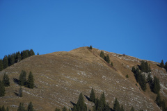 DSC00202