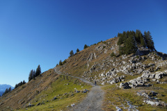 DSC00220