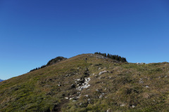 DSC00227