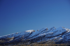 DSC00249