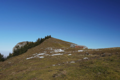 DSC00257