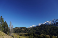 DSC00268