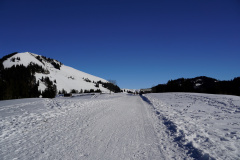 DSC06497