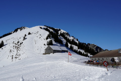 DSC06520