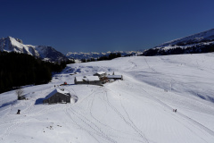 DSC06526