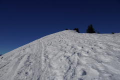 DSC06533