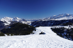 DSC06541