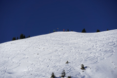 DSC06554