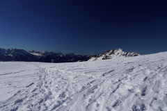 DSC06560