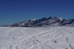 DSC06592