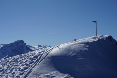 DSC06599