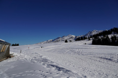 DSC06609