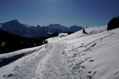 DSC06623