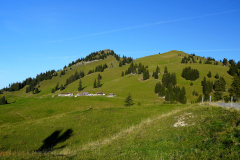 DSC07816