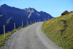 DSC07819