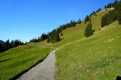 DSC07820