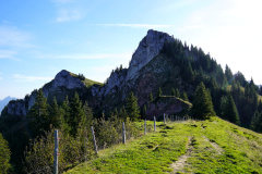DSC07842