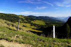 DSC07846
