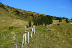 DSC07851