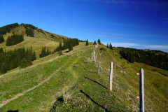 DSC07856