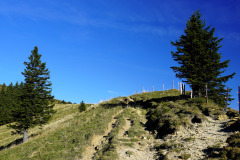 DSC07863