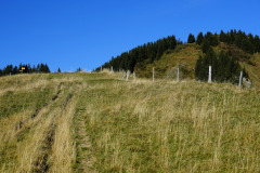 DSC07865