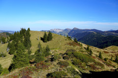 DSC07878