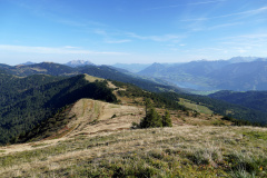 DSC07880