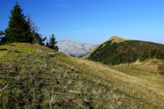 DSC07883