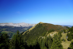 DSC07884