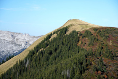 DSC07895