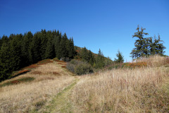 DSC07907
