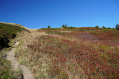 DSC07919