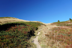 DSC07921