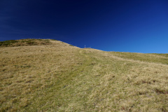 DSC07922
