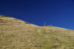 DSC07925
