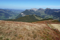DSC07946