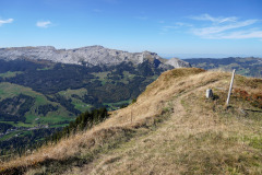 DSC07954