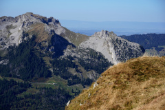 DSC07955