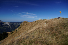 DSC07965