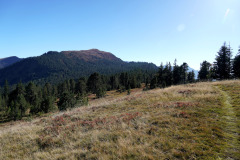 DSC07991