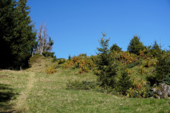 DSC07992