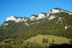 DSC07999