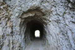 DSCN5081